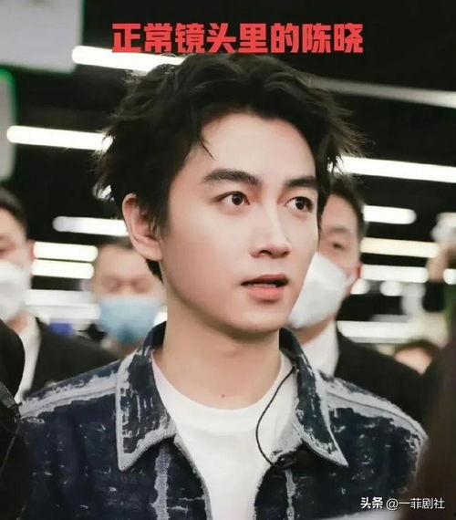 娱乐圈男明星的吃瓜,娱乐圈男明星的“瓜田”奇遇记